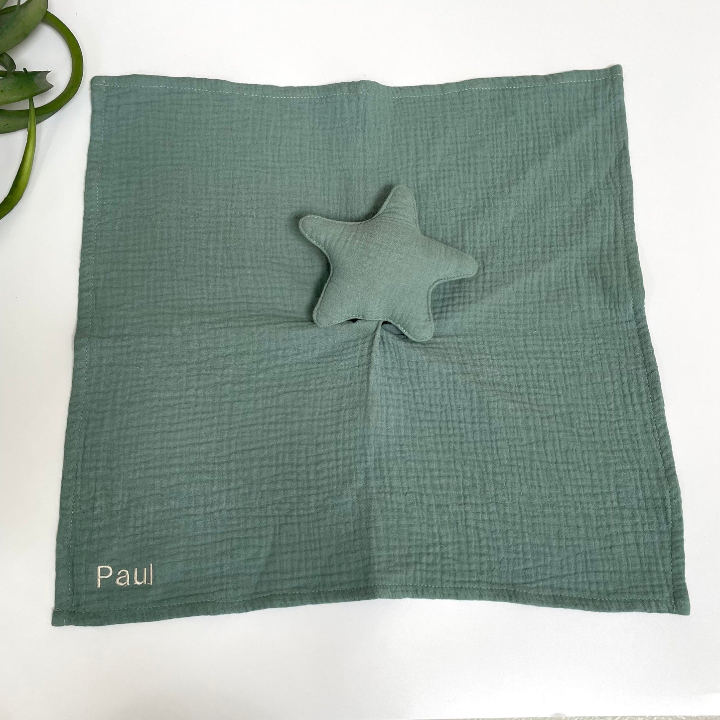 Schnuffeltuch Stern mit Name in Farbe mint