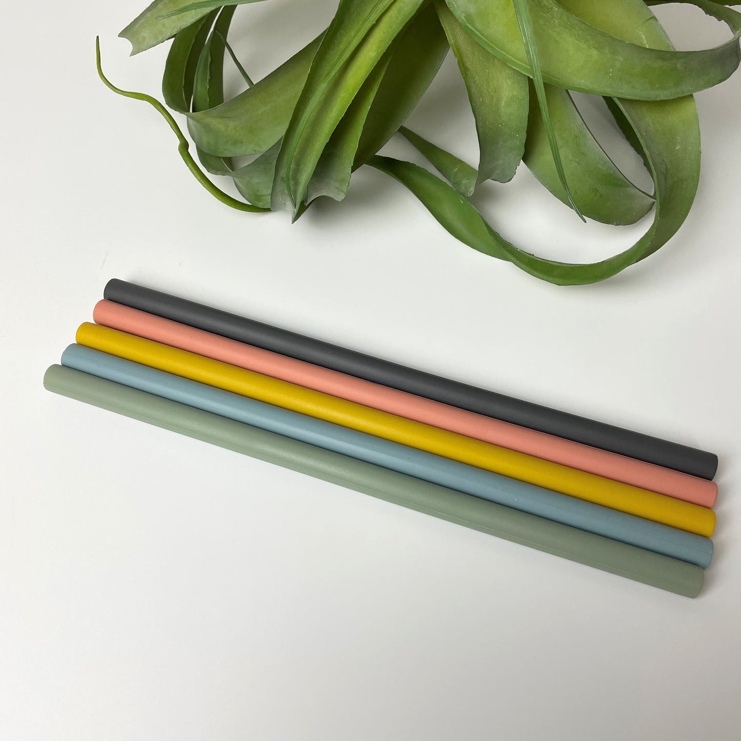 Strohhalme aus Silikon (5er Set)